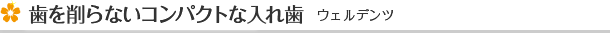 歯を削らないコンパクトな入れ歯　ウェルデンツ