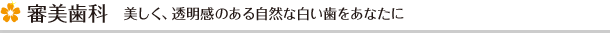 審美歯科　美しく、透明感のある自然な白い歯をあなたに