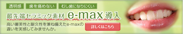 最先端セラミック素材e-max